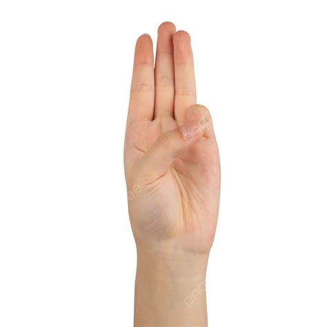 Hand Gesture Modeling Body Movements Hand Skin PNG Transparent Image