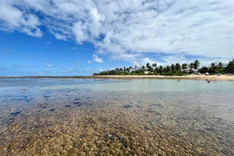 Praia Do Forte Bahia Dicas Para Curtir Esse Para So