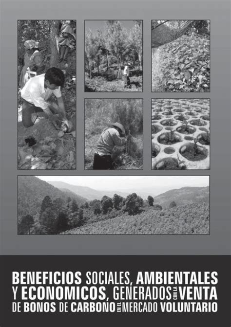 Pdf Beneficios Sociales Ambientales Y Econ Micos Generados Con La