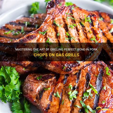 Mastering The Art Of Grilling Perfect Bone In Pork Chops On Gas Grills Shungrill