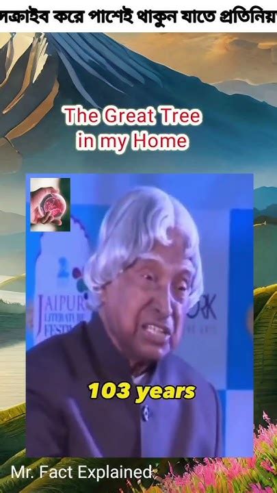 The Great Tree In My Home Proven By Dr Abdul Kalam Apj Abdul Kalam