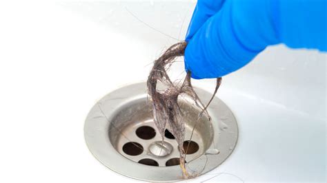 Common Causes Of Clogged Drains And How To Fix Them ‐ Woolf Plumbing