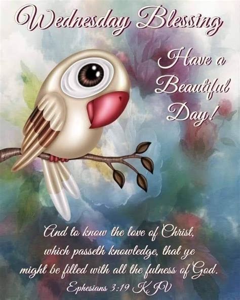 Cute Bird Wednesday Blessing Good Morning Inspirational Quotes