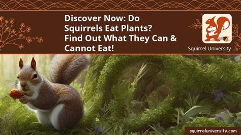 Do Squirrels Eat Plants And How To Protect Your Garden Squirrel University