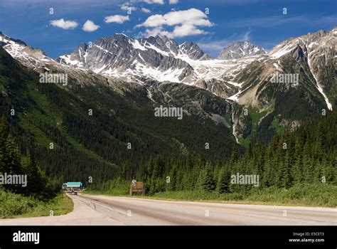 Elk203 2339 Canada British Columbia Glacier National Park Rogers Pass Trans Canada Highway