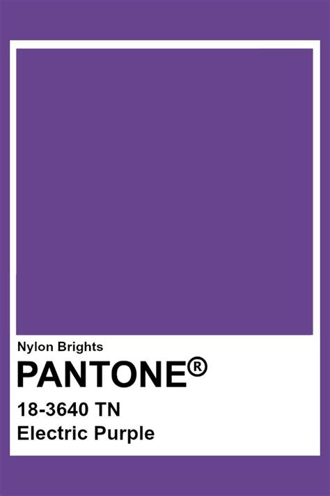 Electric Purple #Pantone | Pantone, Kleurenpalet, Kleuren