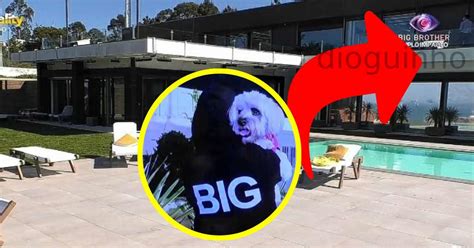 Voz Da Casa Dos Segredos E Big Brother Concorrentes Revelam Detalhes