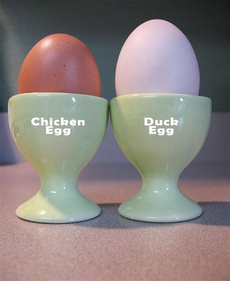 Duck Egg Vs Chicken Egg (Which is the True Winner?) - Sustainable