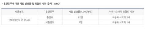 라돈의 위험 ①라돈은 무엇인가 포인트경제