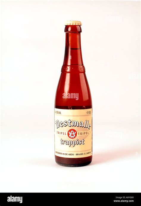 Bottle Of Westmalle Trappist Tripel Beer Malle Belgium Stock Photo Alamy