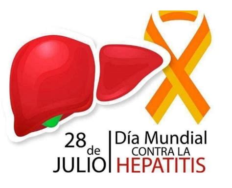 Dia Mundial Contra La Hepatitis Consejos Para Cuidar Su Higado Y Images