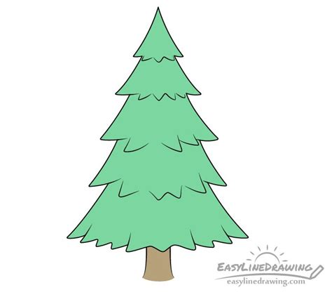 How To Draw A Pine Tree Step By Step Easylinedrawing Pine Tree