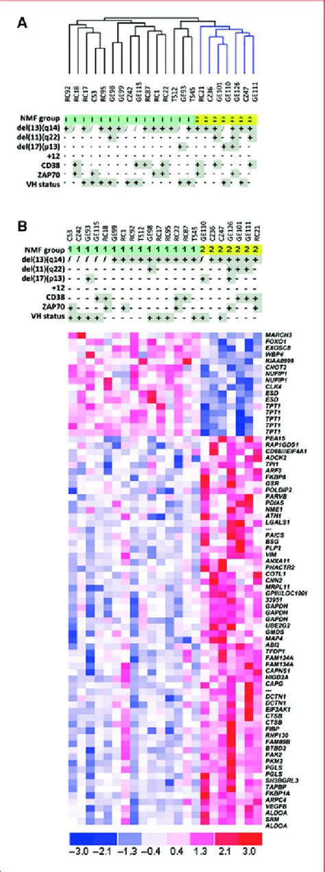 Identification Of Gene Signatures Characterizing Q Classes A