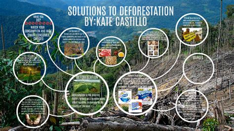 Deforestation Solutions