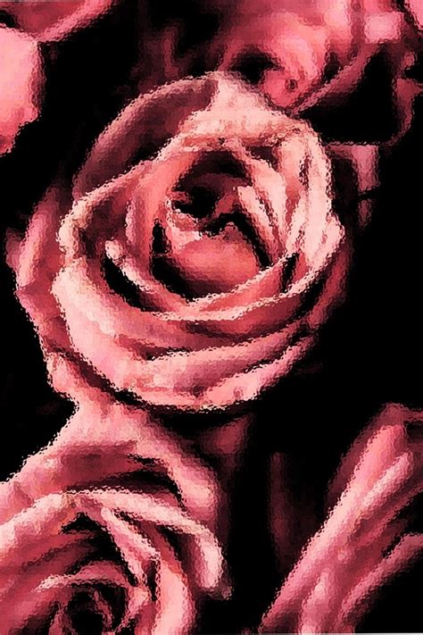 Rose Black Pink Aesthetic | Pink aesthetic, Vintage roses, Beautiful roses