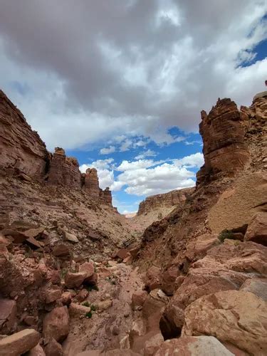 10 Best Trails and Hikes in Marble Canyon | AllTrails