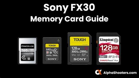 The Best Sony Fx Memory Cards In Alpha Shooters