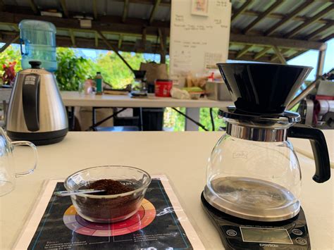 Coffee Farm Tour and Tasting in Kona - M & L Adventures