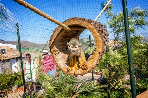 Tour Del Parco Amazonas E In Barca Con Fondo Di Vetro Fornito Da