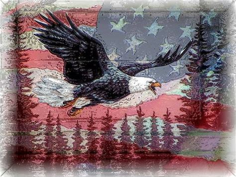 Eagle Blank Template Imgflip