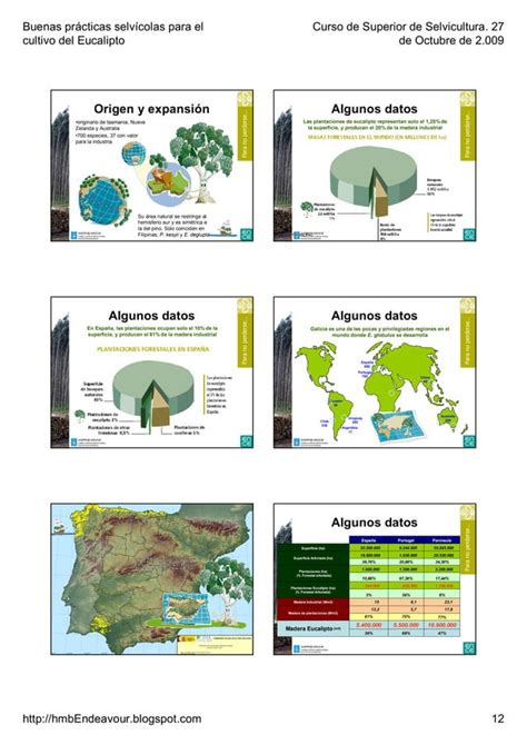 Selvicultura Del Eucalipto Pdf