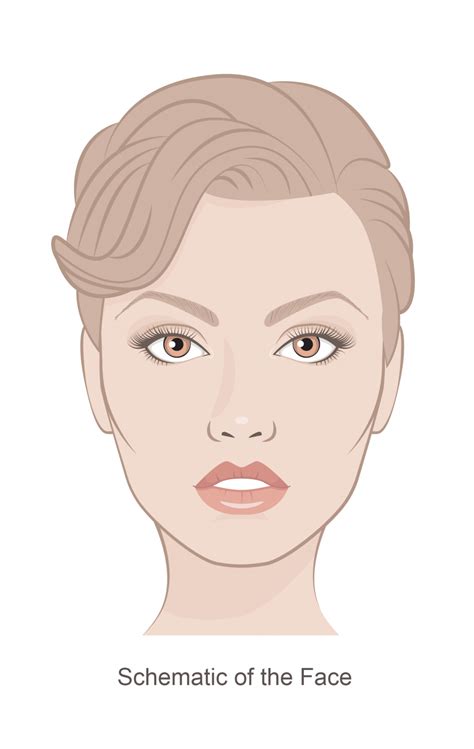 Schematic Of The Face Facerobics® Face Exercises