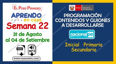 Aprendo En Casa Contenidos Y Guiones Radiales Semana Agosto