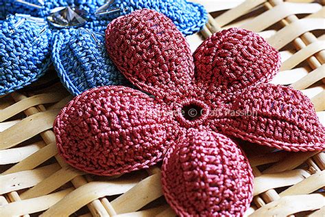 Five Petal Crochet Flower Pattern Best Flower Site