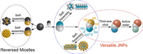 Versatile Triblock Janus Nanoparticles Synthesis And Self Assembly Chemistry Of Materials X Mol