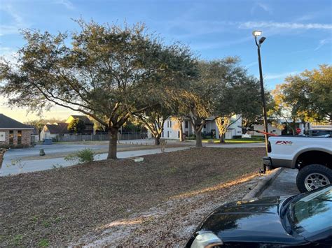 Tree Trimming In Lakeland Fl Precision Tree And Outdoor Services