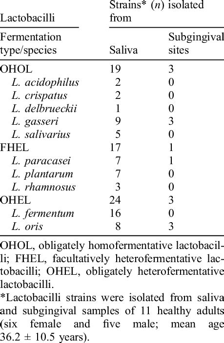 Species and origin of oral lactobacilli characterized for probiotic use ...