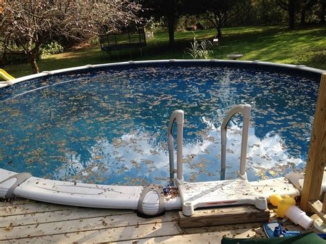 5 Simple Ways To Keep Leaves Out Of Your Pool House Grail