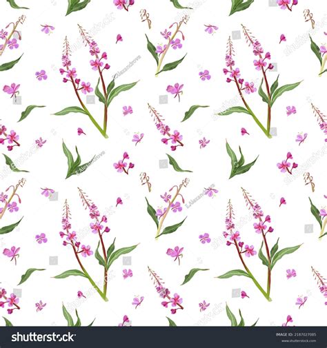 Digital Seamless Pattern Colorful Wild Fireweed Stock Illustration