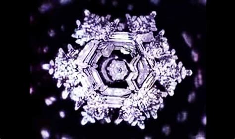 Dr Emoto’s Water Experiment