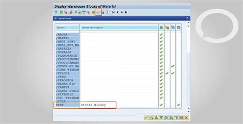 How To Save The Layout In SAP Hicron