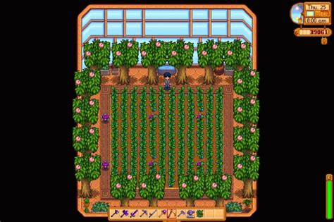 Best Crops for the Greenhouse in Stardew Valley | High Ground Gaming