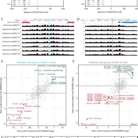 Highly Controlled Mnase Seq Reveals Variable Size Distribution Of