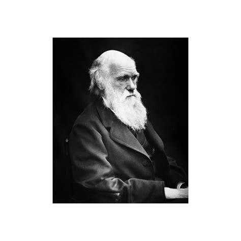 Charles Darwin Posters Charles Darwin Portrait Charles - Etsy