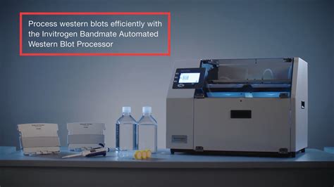 How To Perform A Western Blot Semi Dry Transfer Using The Invitrogen