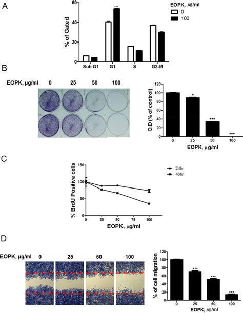 Eopk Inhibits Cell Proliferation And Migration In Hct Colorectal