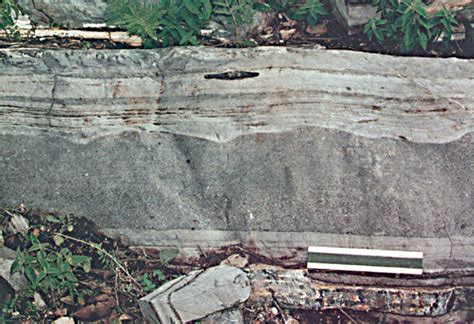 Turbidites