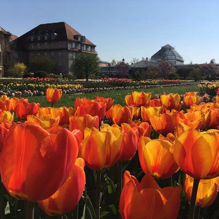 Botanischer Garten Muenchen Nymphenburg Munich 2018 All You Need To