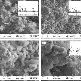 FTIR Spectra Of The Bioactive Glass Immersed In SBF Solution For 0 14