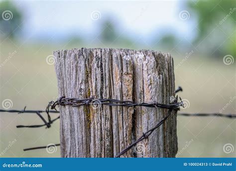 Old Barbed Wire Fence And Wood Post On Farm Stock Image Image Of