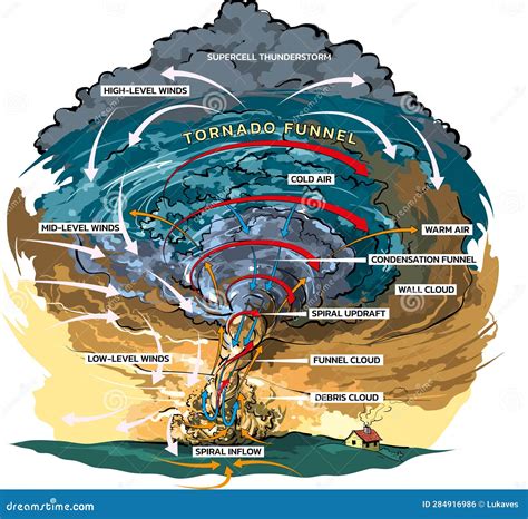 Tornado Formation Severe Weather Tornadogenesis Cartoon Vector