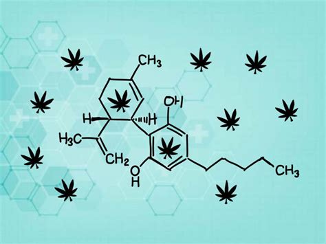 O Que é O Canabidiol Cbd E Para Que Serve Diário Medicinal