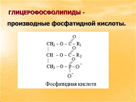 Липиды. Химия липидов. Переваривание липидов в ЖКТ. Нарушение ...