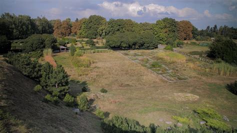 nature botanical garden  stock video pixabay