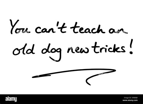 You Cant Teach An Old Dog New Tricks Handwritten On A White Background