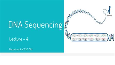 Dna Sequencing Sanger Method Lecture 1 Youtube